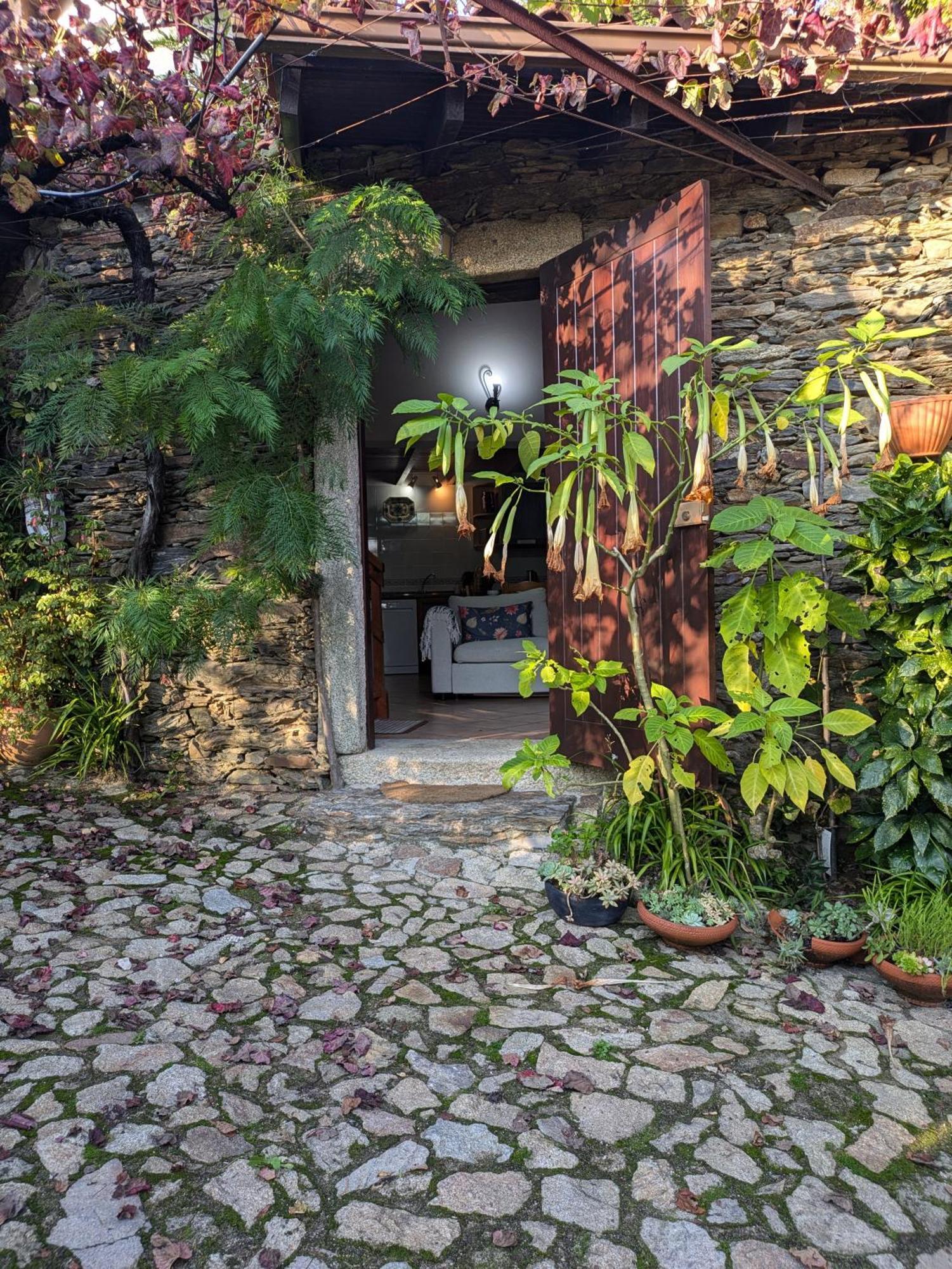 Amonde Casa Do Valo 빌라 외부 사진