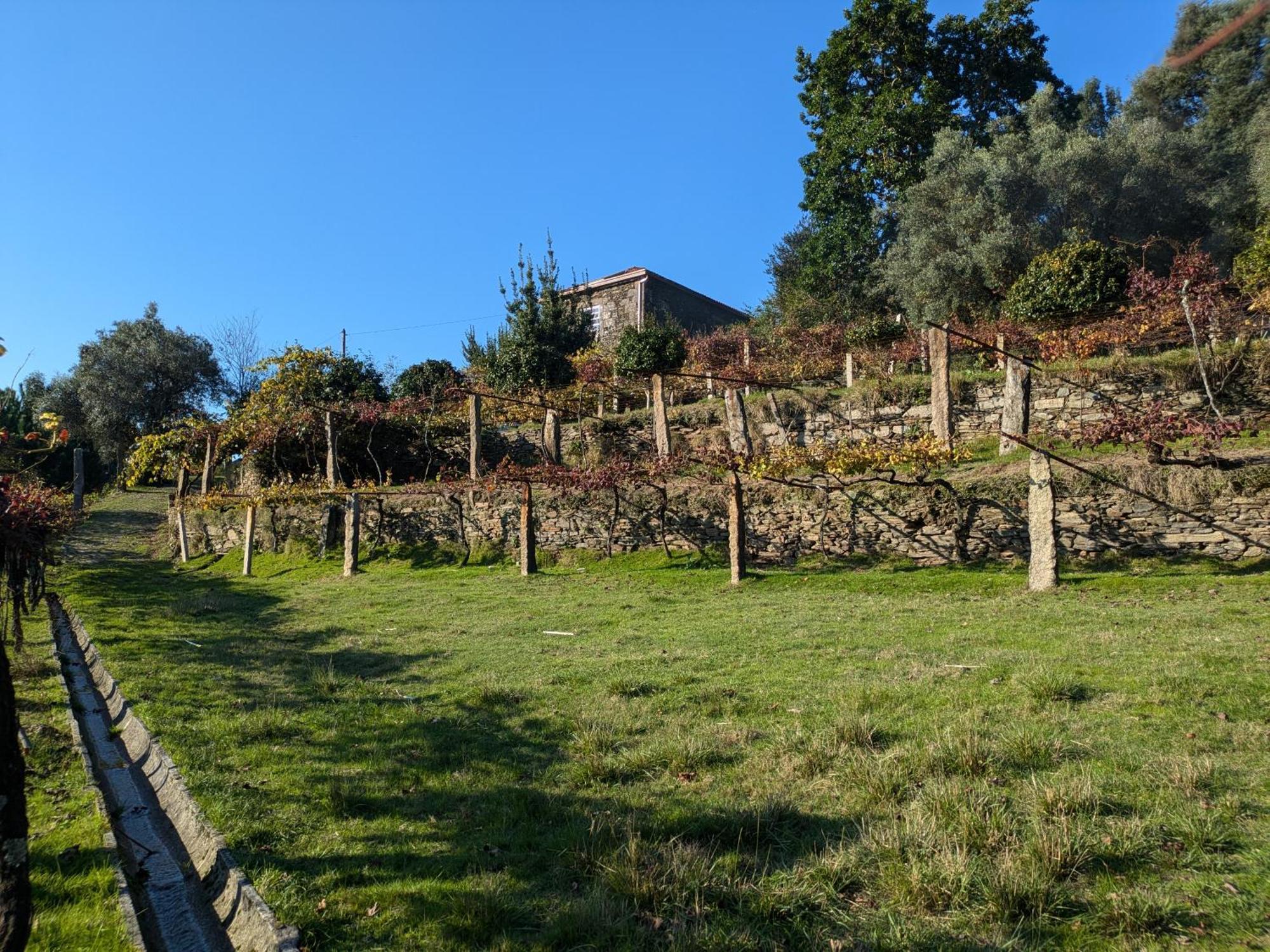 Amonde Casa Do Valo 빌라 외부 사진