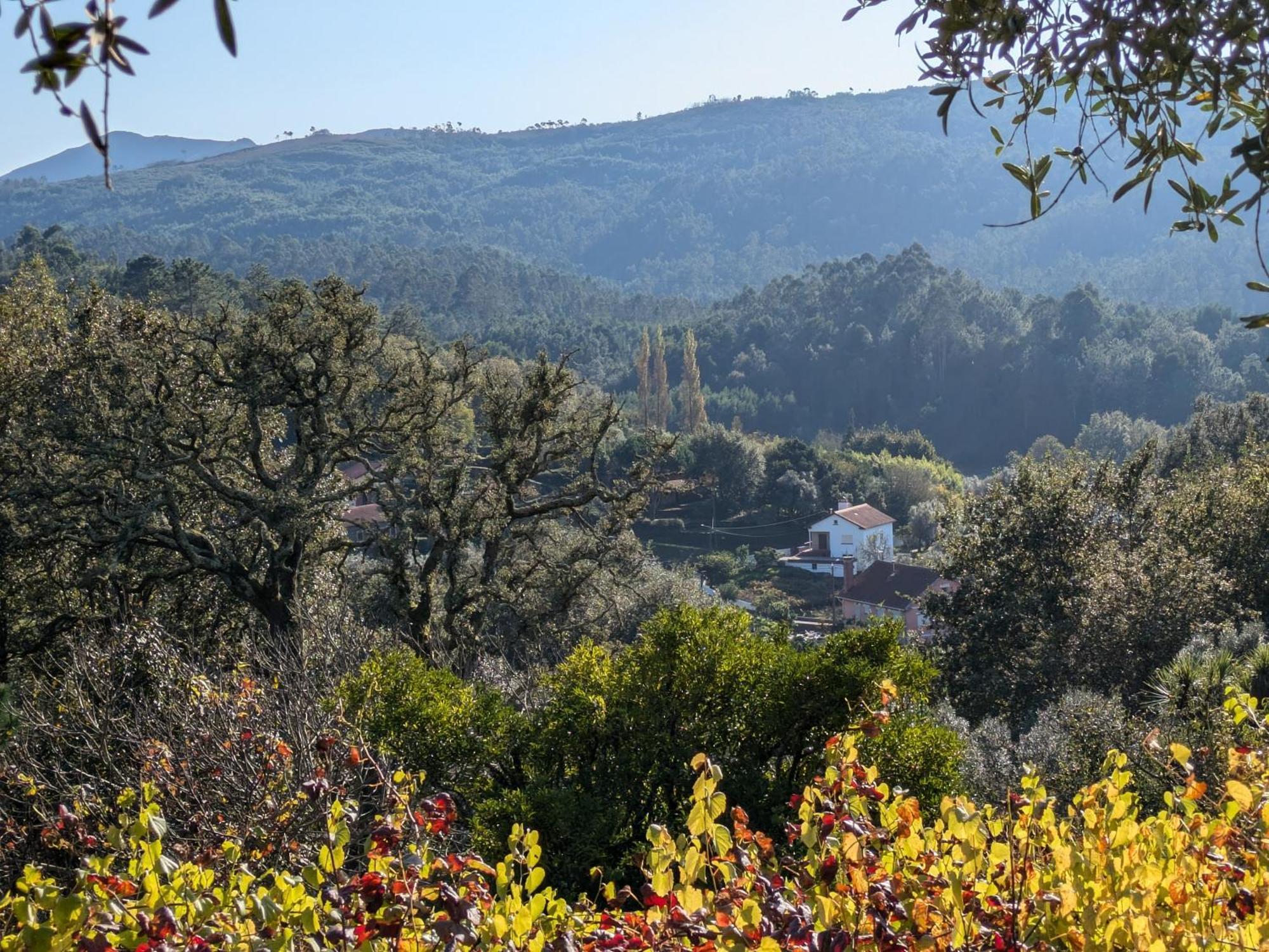 Amonde Casa Do Valo 빌라 외부 사진