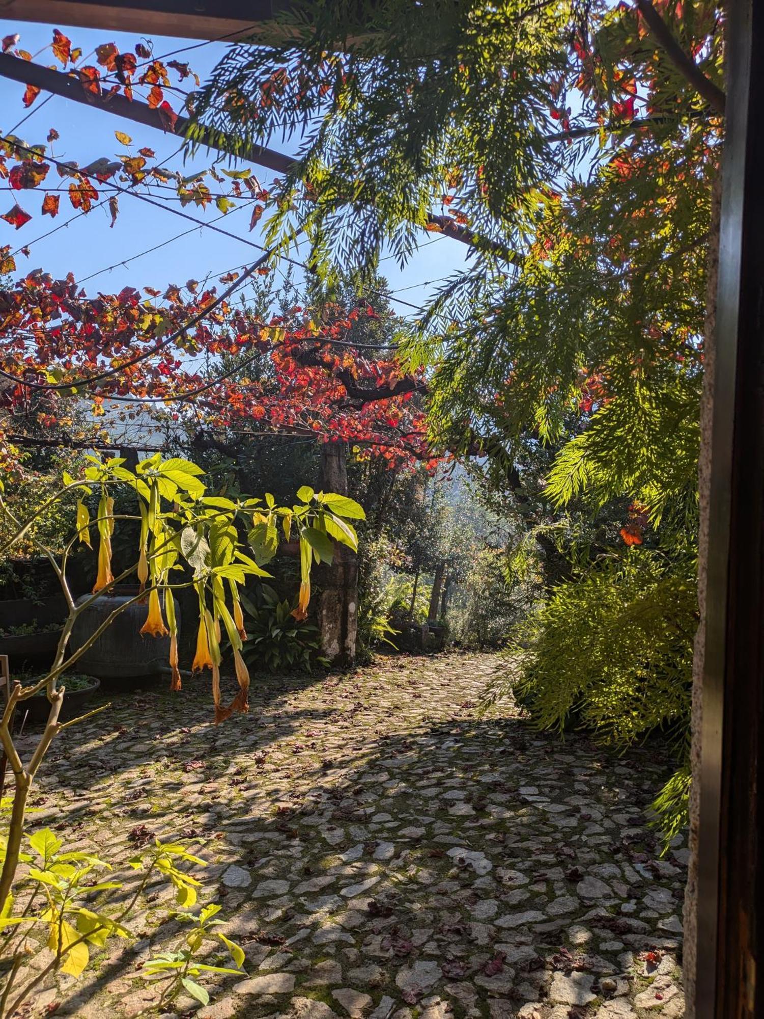 Amonde Casa Do Valo 빌라 외부 사진